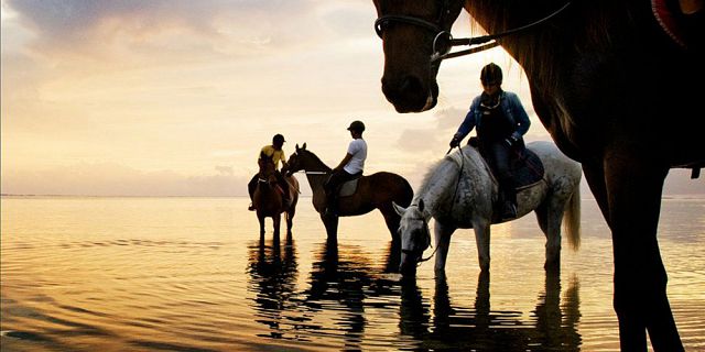 Romantic sunset horse riding on the riambel beach (1)